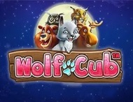Wolf Cub