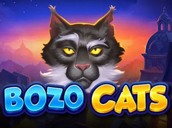 Bozo Cats