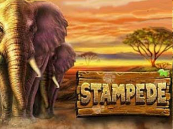 Stampede